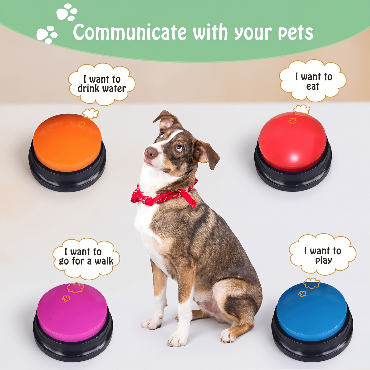 Pawylingo Talking Buttons